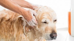 Hygienické ošetření