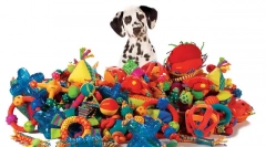 Psí hračky: nebezpečné a bezpečné