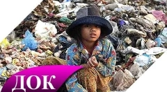 Zajímavé fakta o znečištění životního prostředí