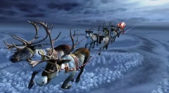 Zajímavá fakta o jelenech santa claus