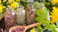 Efektivní ruský pokoj z parazitů