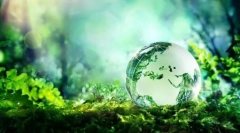 Ekosystém: komponenty, struktura, elektrické řetězy
