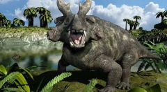Estemmenozuhi