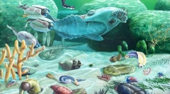 Evoluce volně žijících živočichů