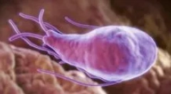 Jak je krevní test na giardia?