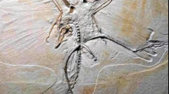 Jak našel dinosaury?