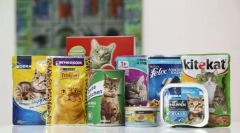 Jak překládat kočku na suché potraviny s jinými typy potravin