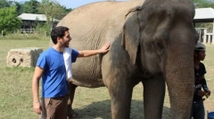 Jak zkrocený asijský slon