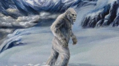 Jak vypadá sněhulák?