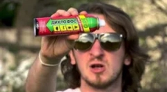 Jak přivést domácí blechy v bytě