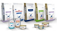 Jaký krmivo je lepší: proplan nebo královský kanin?