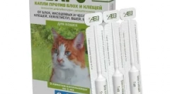Kapky na kohoutek barů - komplexní ochrana kočky z ektoparazitů