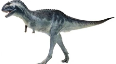 Carnotaursko