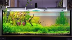 Kompresor pro akvárium s vlastními rukama: krok za krokem výrobní pokyny