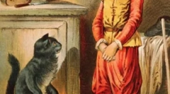 Kočky v literatuře a kině