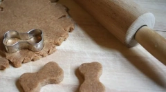 Parehomas pro psy (5 receptů pro každý vkus)