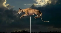 Létající zemřít: zábava zábava hotová