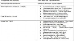 Liška - popis, druh, kde přebývá