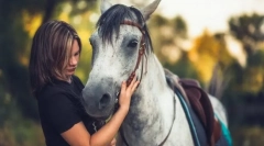 Koně pro volný čas