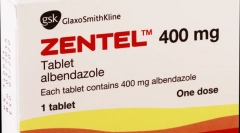 Nejlepší tablety z červů