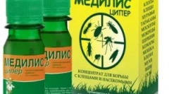 Medilis cup a jeho použití od hmyzu