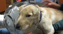 Nejčastější nehody