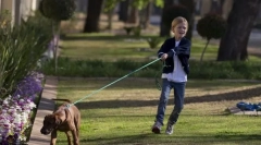 Tahání a vodítko blbec