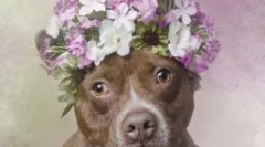 Není to tak hrozné: 30 roztomilé fotografie jámy