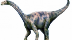Nurozavr