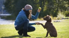 Šňupy školení hlavní týmy