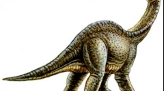 Odddenosaurus