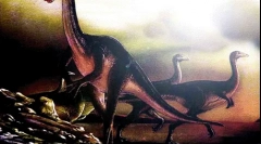 Ornithitimus