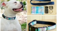 Psí límec s vlastními rukama: jednoduchá instrukce