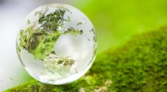 Základní pojmy ekosystému