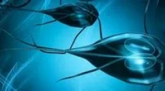 Hlavní příznaky lambiózy