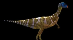 Otnelia