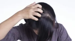 Parenchy: formy propuštění a pokyny pro použití
