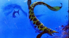 Platecharpus