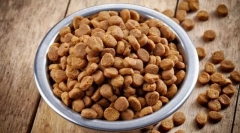 Výhody a nevýhody suchého krmiva