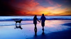 Proč se pes nazývá nejlepší přítel člověka