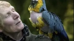 Výběr nejstarších zvířat žijících na zemi