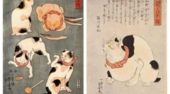 Podrobný popis koček plemeno japonský bobtail