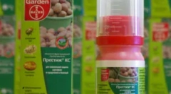 Prestige: jmenování a pravidla