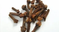 Aplikace karafiací z parazitů