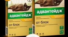 Aplikace drogové výhody (advanda) pro kočky