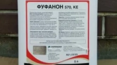 Aplikace léku fufanon z bedbugs