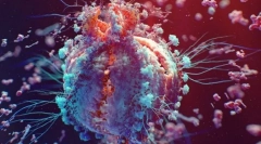 Známky živých bytostí