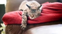 Problémy s noční postelí