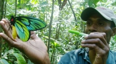 Bootholder queen alexandra