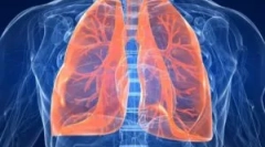 Vývoj parazitů v lidských plicích: symptomy a diagnostika